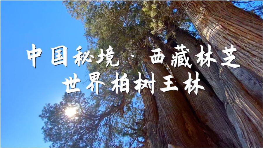 加勒比海度假村