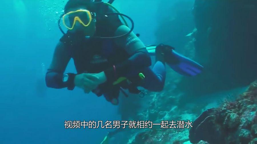 大哥3900公里返乡给88岁母亲做饭:新年愿望希望老妈身体健康
